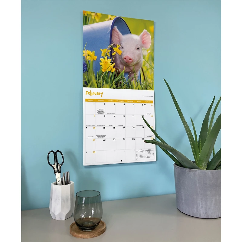 Mini Pigs 2027 Wall Calendar
