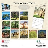 Majesty Of Trees 2026 Wall Calendar - Online Only
