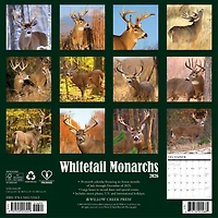 Whitetail Monarchs 2026 Wall Calendar