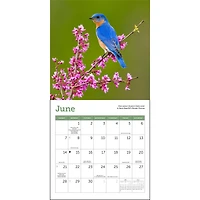 Songbirds 2026 Mini Calendar