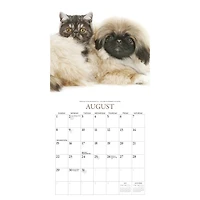 Kittens and Friends 2027 Mini Calendar