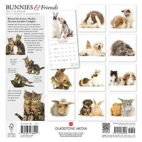 Bunnies and Friends 2027 Wall Calendar