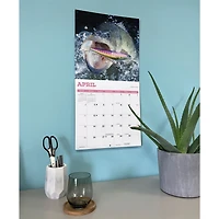 Bass 2027 Wall Calendar