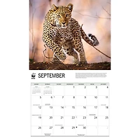 World Wildlife Fund Wild Cats 2027 Wall Calendar