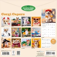 Corgi Capers 2027 Wall Calendar
