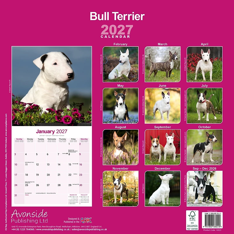 Bull Terriers 2027 Wall Calendar