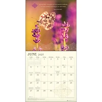 Meditation 2027 Wall Calendar - Online Only