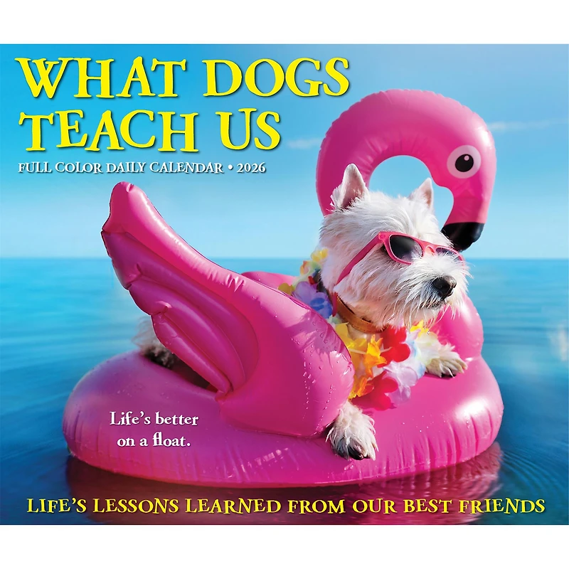What Dogs Teach Us 2026 Box Calendar