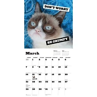Grumpy Cat 2027 Wall Calendar