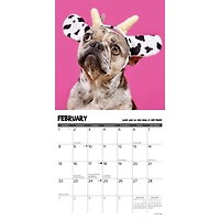 Pardon My Frenchie 2026 Wall Calendar