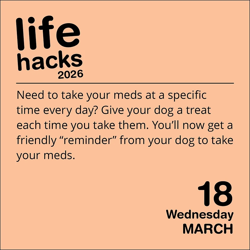 Life Hacks 2026 Box Calendar