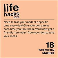 Life Hacks 2026 Box Calendar