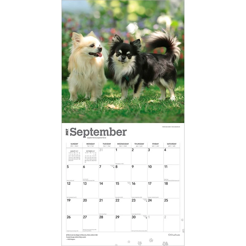 Chihuahuas 2027 Wall Calendar