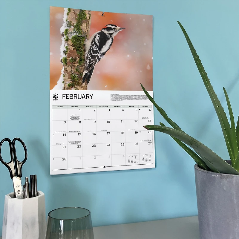 World Wildlife Fund Backyard Birds 2027 Wall Calendar