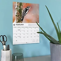World Wildlife Fund Backyard Birds 2027 Wall Calendar