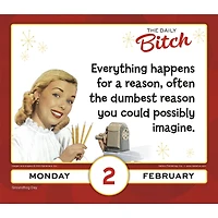Daily Bitch 2026 Box Calendar