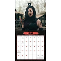 Avatar: The Last Airbender Netflix Series with Poster 2026 Deluxe Wall Calendar - Online Only