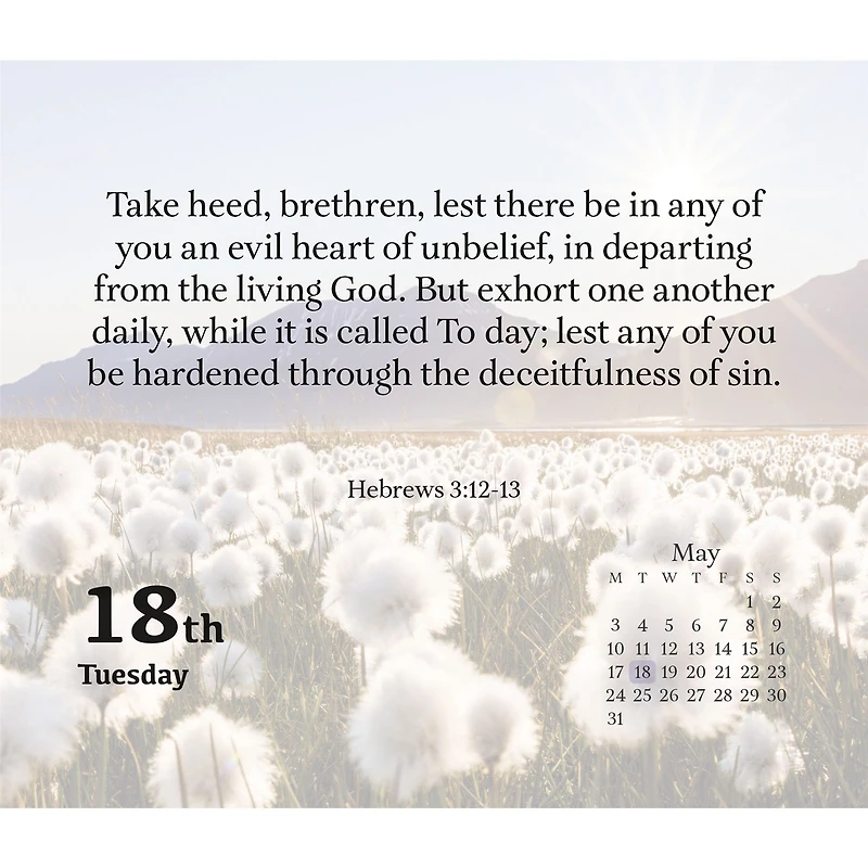 Bible Verses 2027 Box Calendar