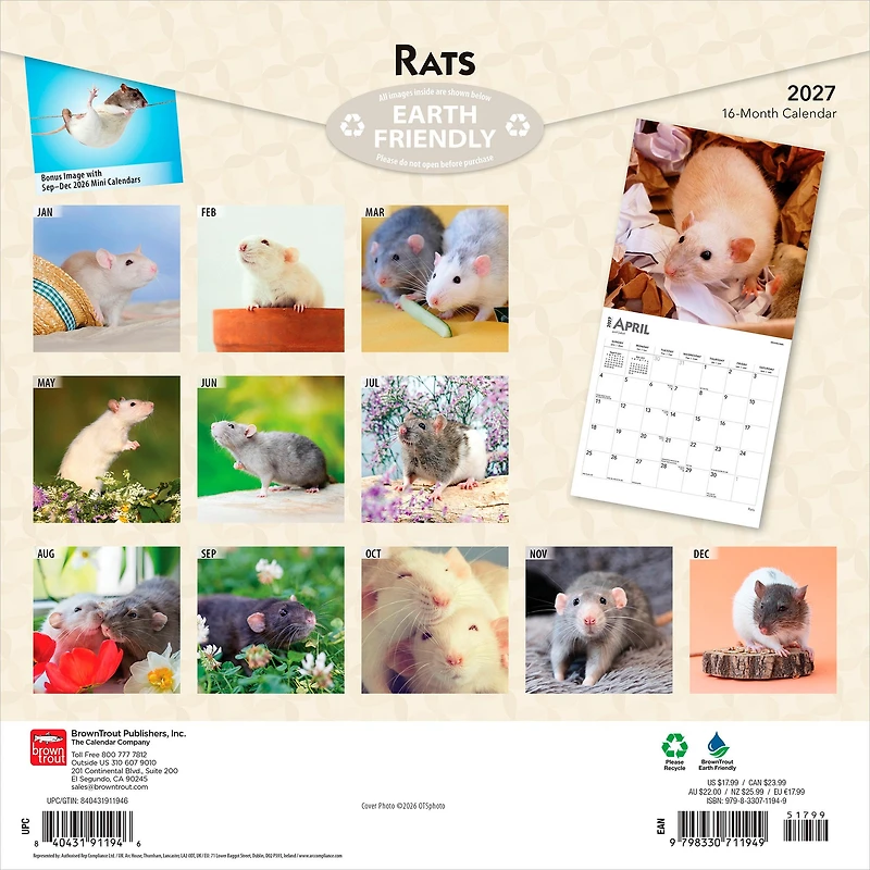 Rats 2027 Wall Calendar