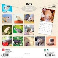 Rats 2027 Wall Calendar