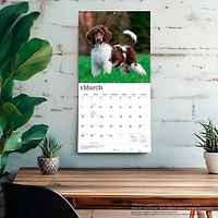 Poodles 2027 Wall Calendar