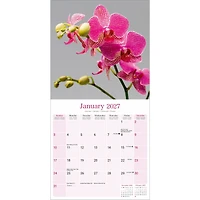 Orchids 2027 Wall Calendar