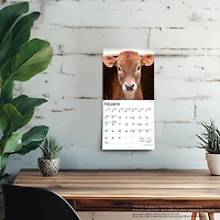 Baby Moo Moos 2026 Mini Calendar - Online Only
