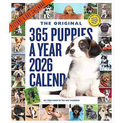 Puppies 365 2026 Wall Calendar