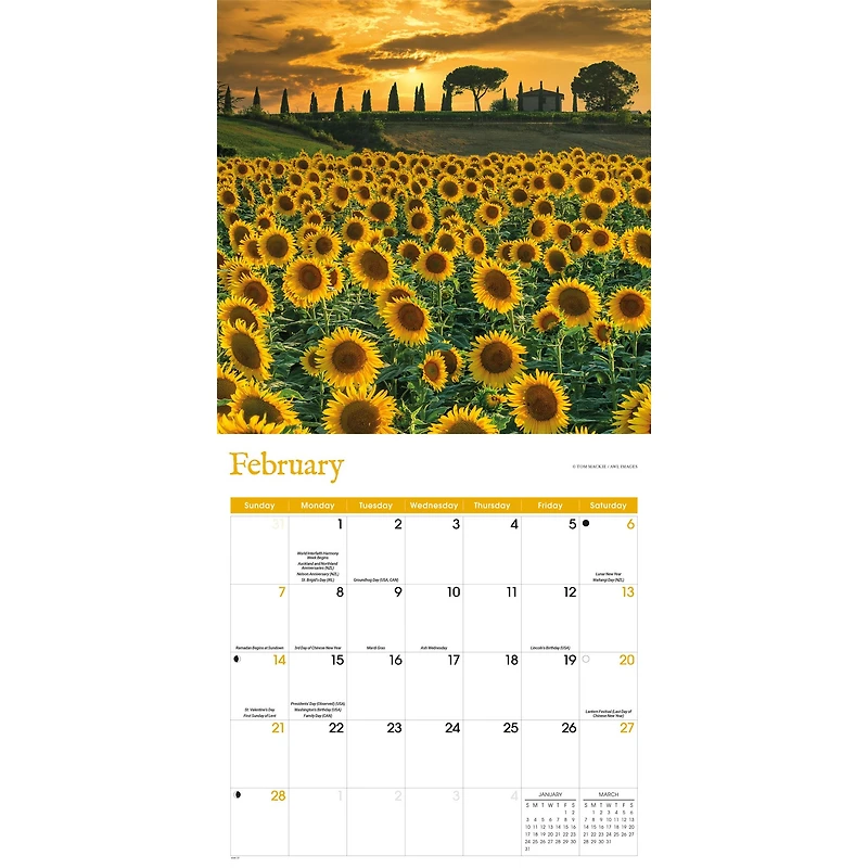 Sunflowers 2027 Wall Calendar