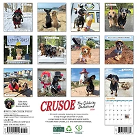 Crusoe The Celebrity Dachshund 2026 Wall Calendar