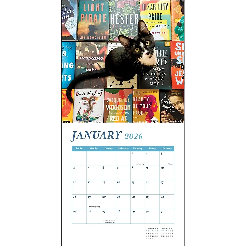 Cats And Books 2026 Wall Calendar
