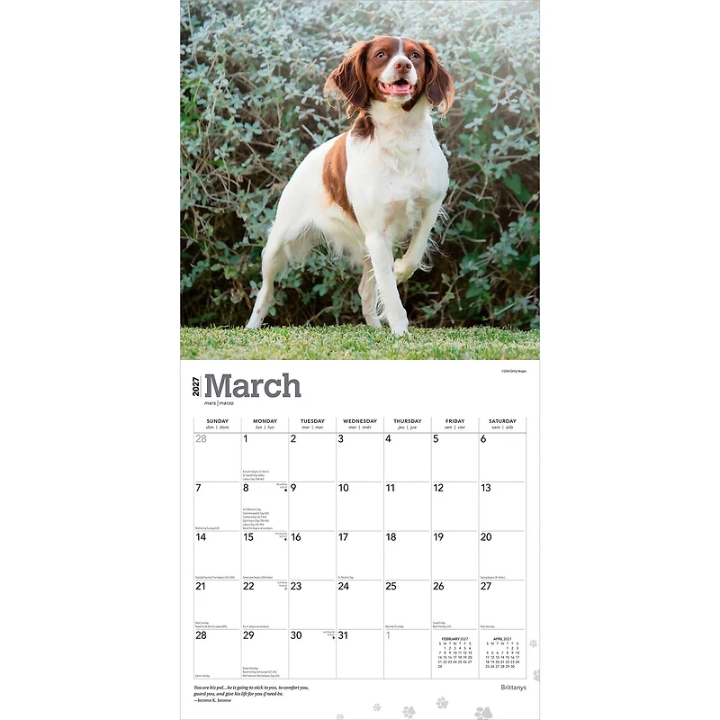 Brittanys 2027 Wall Calendar - Online Only