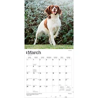 Brittanys 2027 Wall Calendar - Online Only