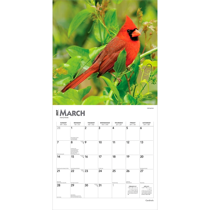 Cardinals 2027 Wall Calendar