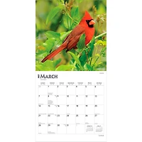 Cardinals 2027 Wall Calendar