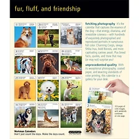 Dog Gallery 2026 Box Calendar