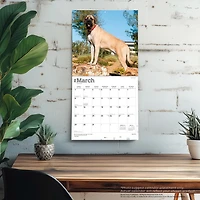 Mastiffs 2026 Wall Calendar
