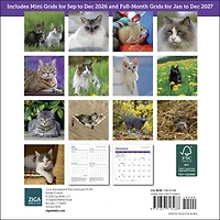 Cats 2027 Mini Calendar