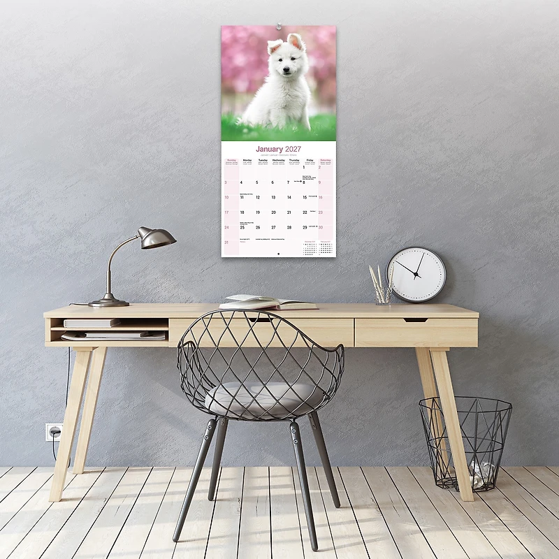 White Shepherd 2027 Wall Calendar - Online Only