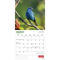 Canadian Geographic Birds 2026 Wall Calendar - Online Only