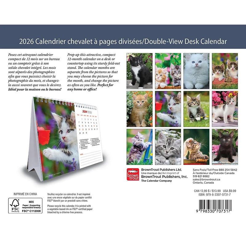 Chatons 2026 Double View Easel Calendar (French)