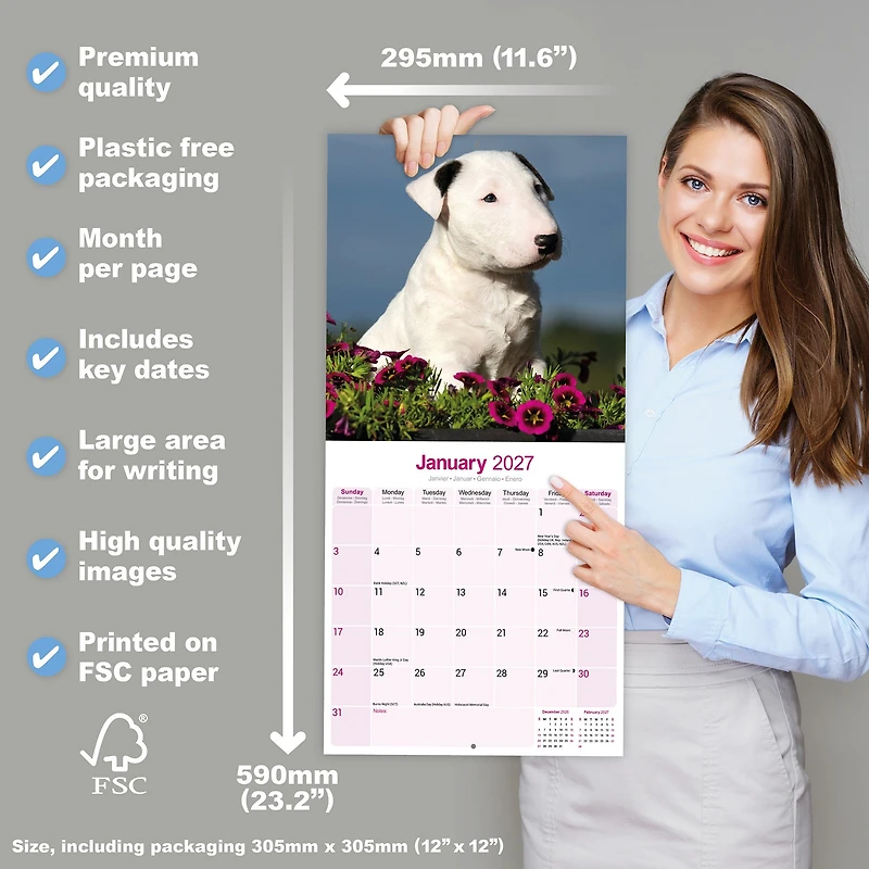 Bull Terriers 2027 Wall Calendar