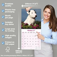 Bull Terriers 2027 Wall Calendar