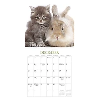 Kittens and Friends 2027 Mini Calendar