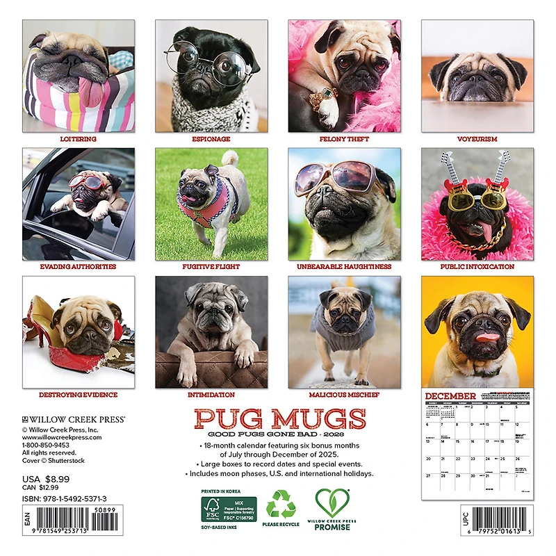 Pug Mugs 2026 Mini Calendar