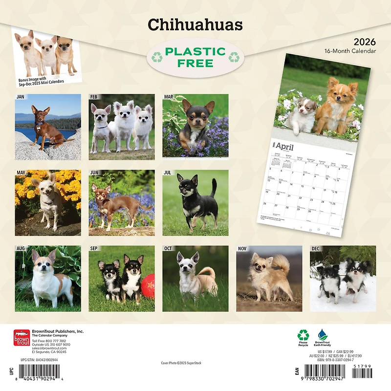 Chihuahuas 2026 Wall Calendar