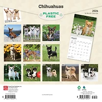 Chihuahuas 2026 Wall Calendar