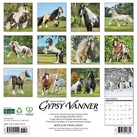 Gypsy Vanner Horse 2026 Wall Calendar