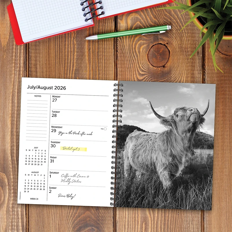 Highland Cows 2026 Engagement Calendar