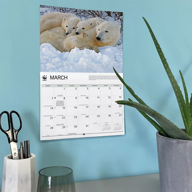 World Wildlife Fund Polar Bears 2027 Wall Calendar